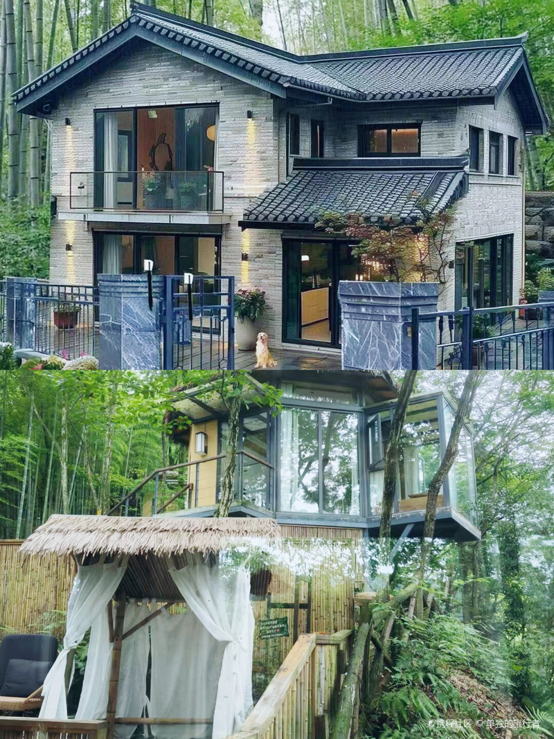 天涯论坛青城山镇宿仙社区,网络与现实交汇的社区生活,天涯论坛青城山镇宿仙社区,网络与现实交融的社区生活