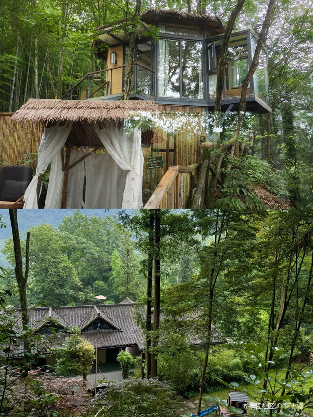 天涯论坛青城山镇宿仙社区,网络与现实交汇的社区生活,天涯论坛青城山镇宿仙社区,网络与现实交融的社区生活