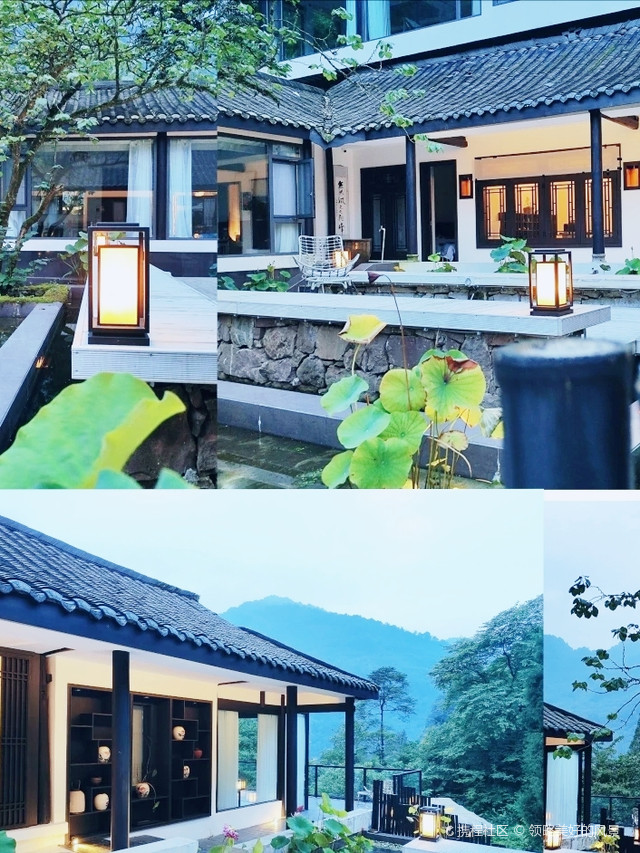 天涯论坛青城山镇宿仙社区,网络与现实交汇的社区生活,天涯论坛青城山镇宿仙社区,网络与现实交融的社区生活