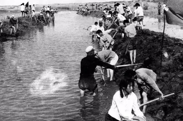 军垦战歌，一曲时代的赞歌与精神的传承，军垦战歌，时代赞歌与精神的传承之旅