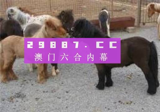 平特一肖大公开，揭秘王中王的独特策略与智慧，揭秘王中王独特策略与智慧，平特一肖大公开