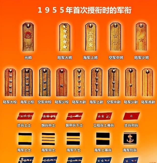 中国元帅军衔等级肩章，历史的印记与荣耀的象征，中国元帅军衔等级肩章，历史的印记，荣耀的象征