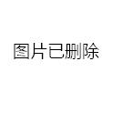 战略支援部队下设机构组成，构建新时代的军事支撑体系，战略支援部队机构组成，构建新时代军事支撑体系的探索