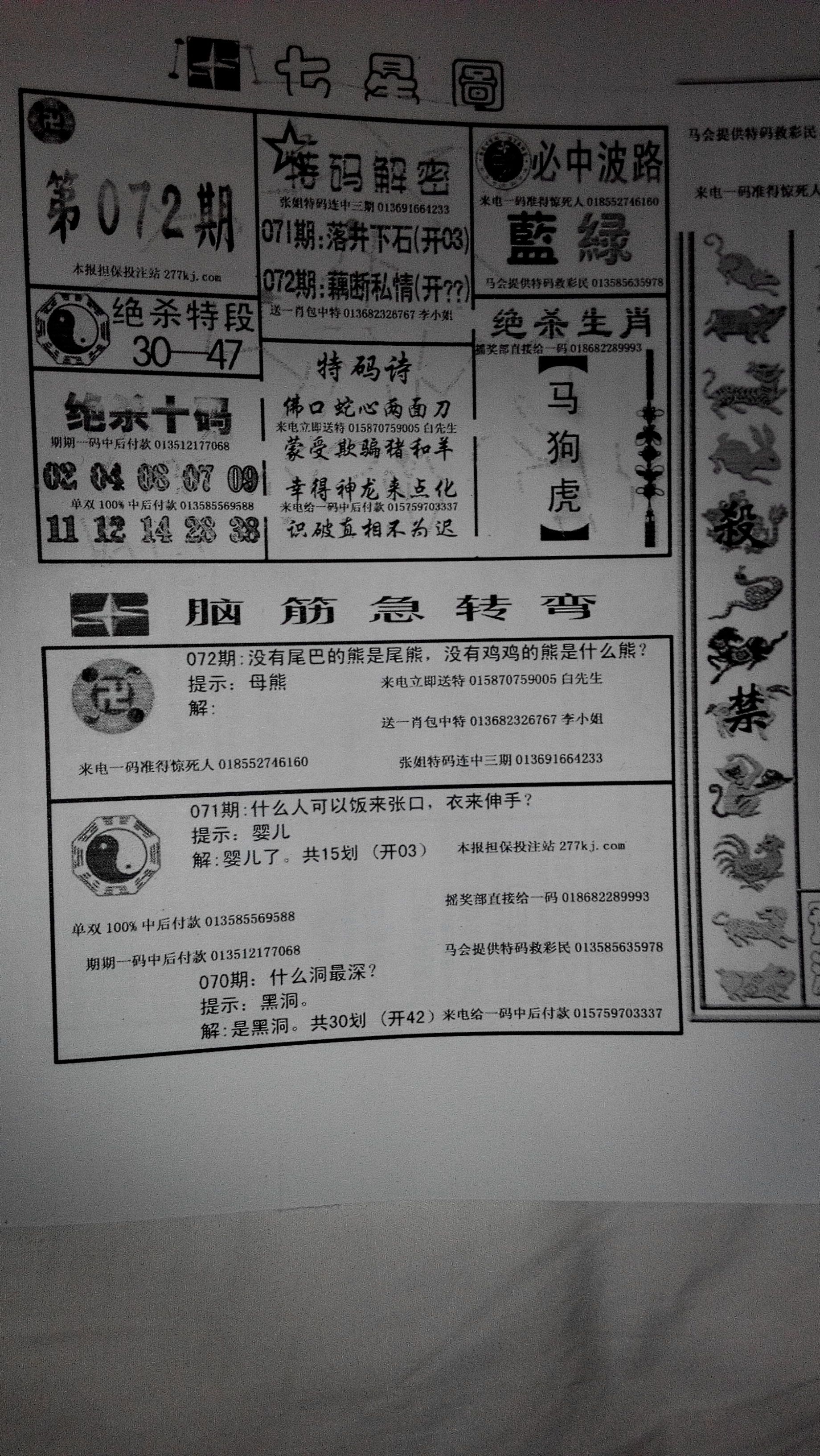 王中王292期指一生肖——探寻神秘背后的故事，王中王292期生肖揭秘，探寻背后的神秘故事