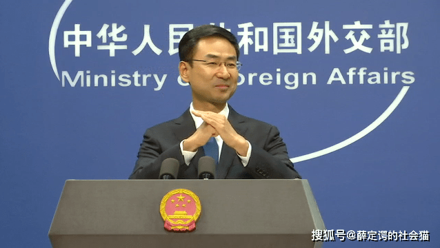 中国外交官概览，中国外交官全景解析