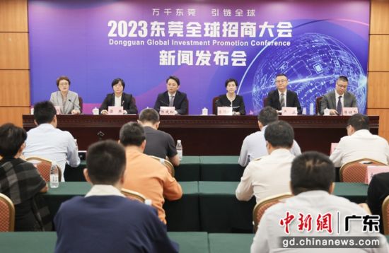 东莞新闻网，引领城市发展的信息前沿，东莞新闻网，引领城市发展的信息先锋