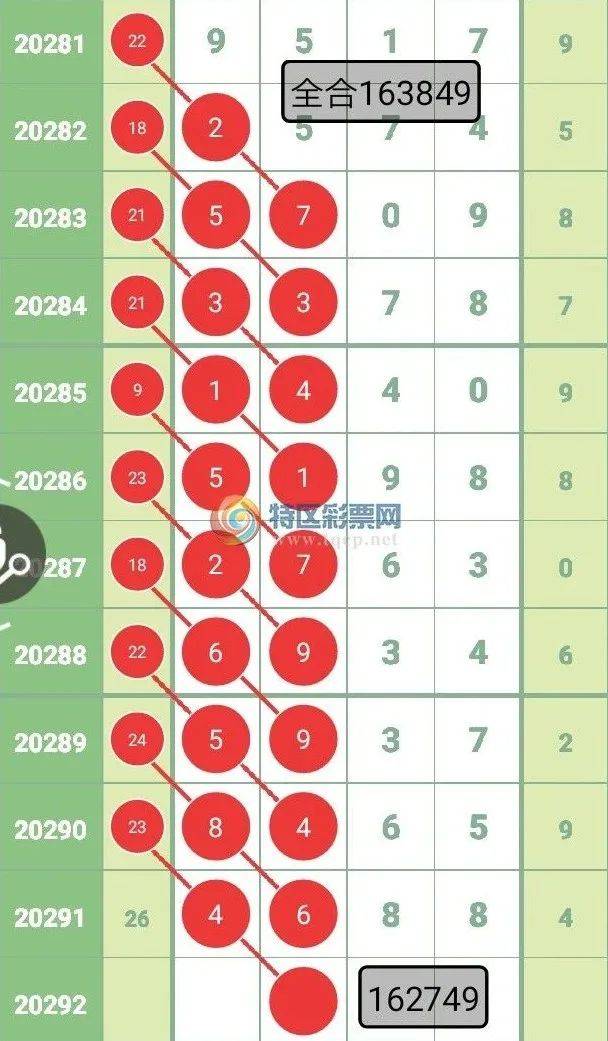 王中王彩图平特一肖，探索彩种世界的奥秘，王中王彩图平特一肖，彩种世界奥秘探索