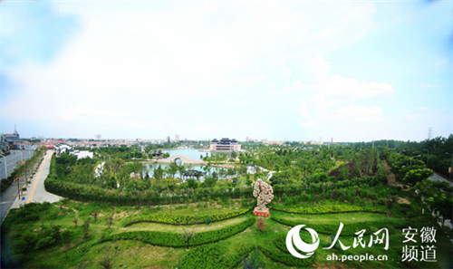 灵璧天涯论坛，地方文化的繁荣与交流之地，灵璧天涯论坛，地方文化繁荣与交流的聚集地