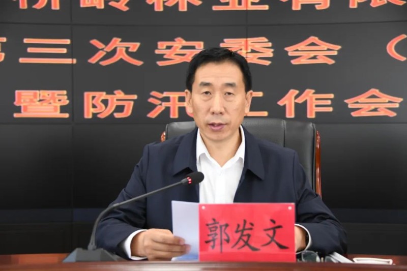 齐发保现在的职位与成就，一位杰出领导者的风采，齐发保的职位与成就，展现杰出领导者的风采
