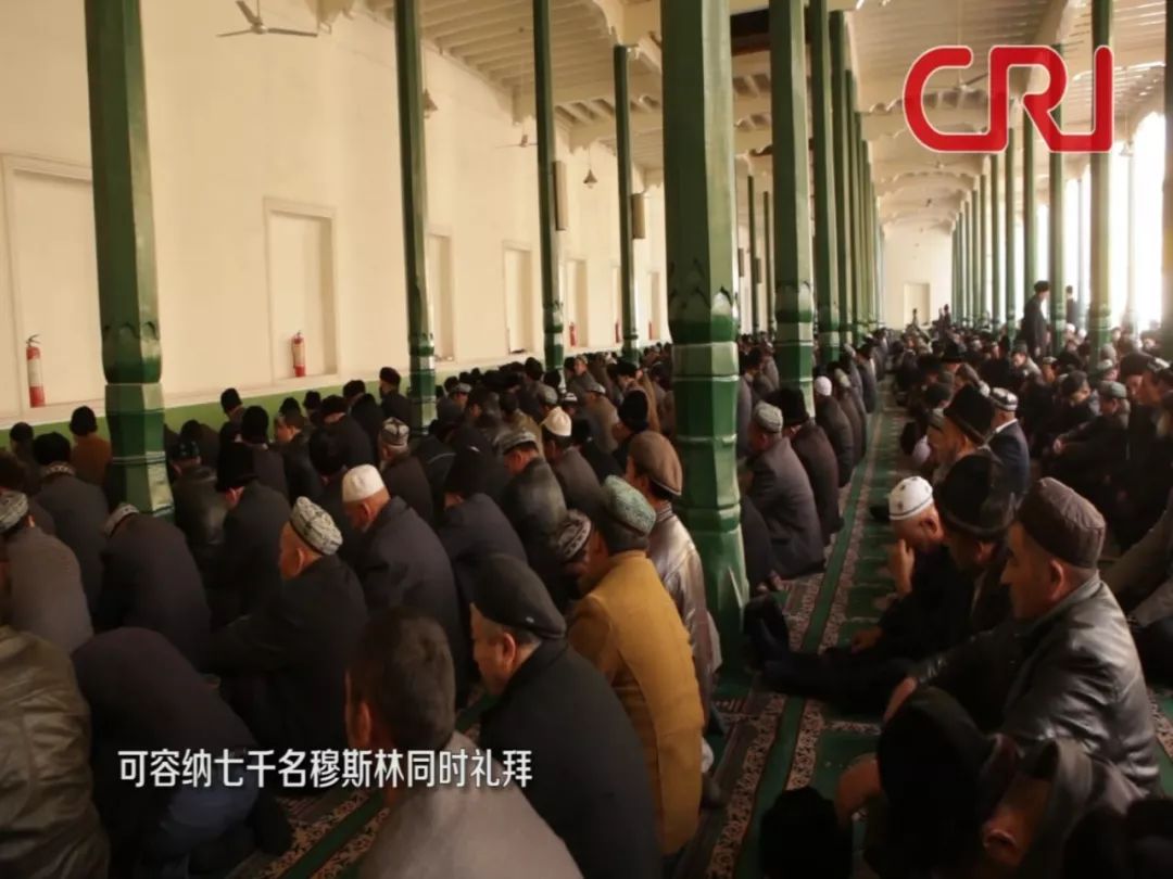 环球奇观频道，展现世界的奇妙多彩，环球奇观频道，探秘世界多彩奇观