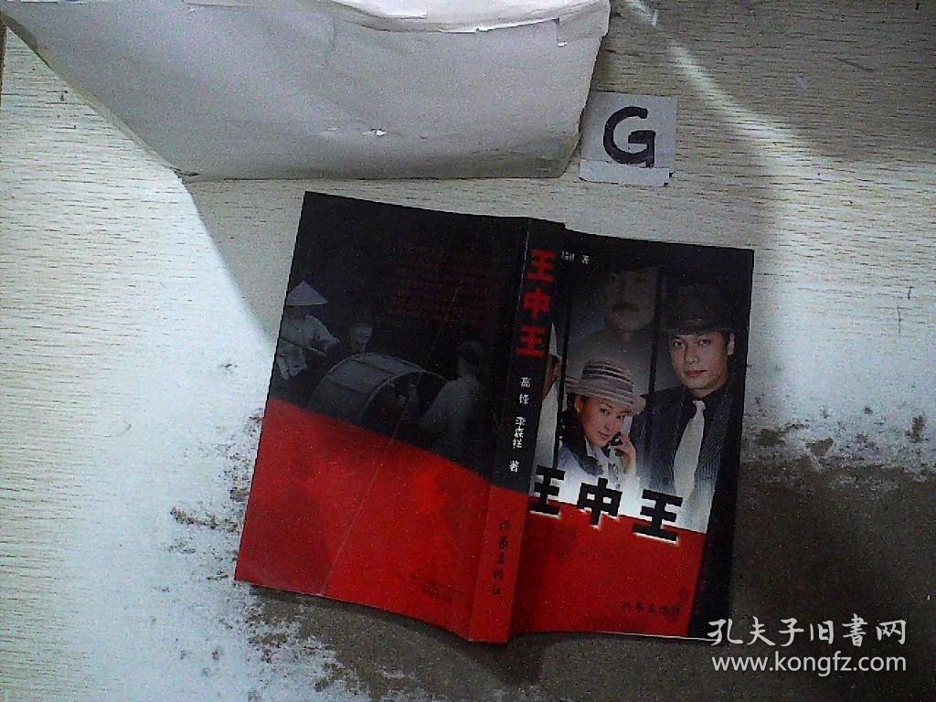 王中王资料一肖持，深度解析与探究，王中王资料一肖持，深度解析与探究揭秘
