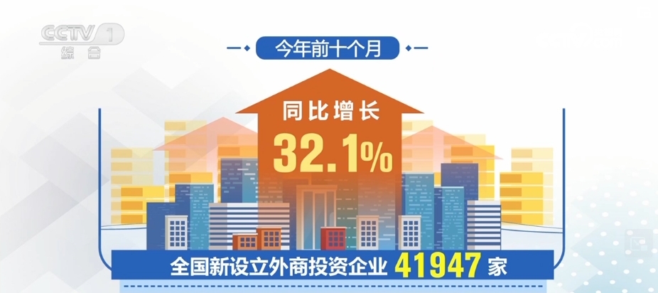 新澳一码一肖一特中的奥秘与预测，走向2025的探讨，新澳一码一肖一特中的奥秘与走向预测，揭秘未来走向至2025年