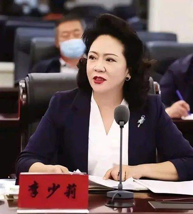 呼和浩特李少莉新闻发布会视频，展现公众人物的正面力量，呼和浩特李少莉新闻发布会展现公众人物的榜样力量视频