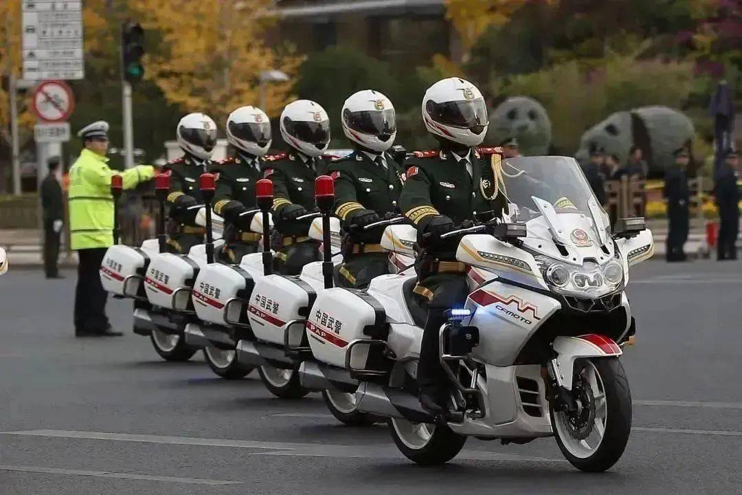 中国国宾车队，传统与现代的完美融合，中国国宾车队，传统与现代的完美交融