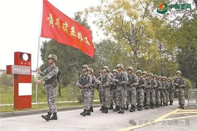 揭秘十四集团军中的一支精英师——探寻战斗力之源，揭秘十四集团军中精英师战斗力之源的探寻之旅