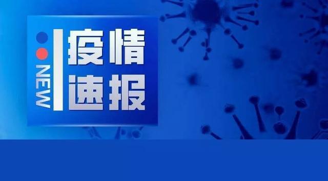 疫情最新新闻消息，全球抗击新冠病毒的最新进展与挑战，全球抗击新冠病毒进展与挑战，最新疫情新闻消息速递