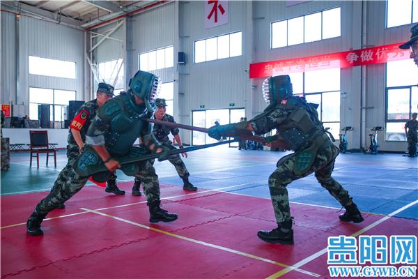 军事图集，揭示军事力量的深度与广度，军事力量深度与广度揭秘图集