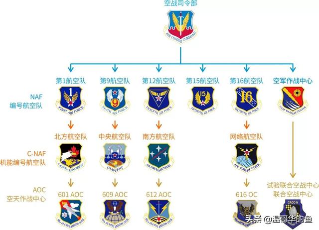 中国与美国空军编制的差异，比较与解析，中美空军编制差异比较解析