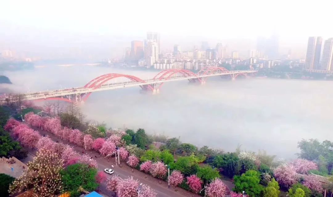 香港 第261页