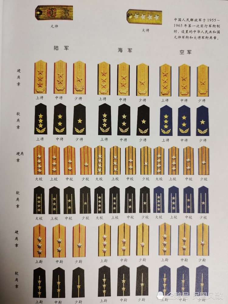五十五军衔一览表，五十五军衔概览表