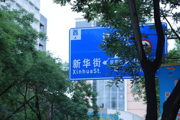 新华网官网入口，连接你我与世界的桥梁，新华网官网，连接你我与世界的桥梁