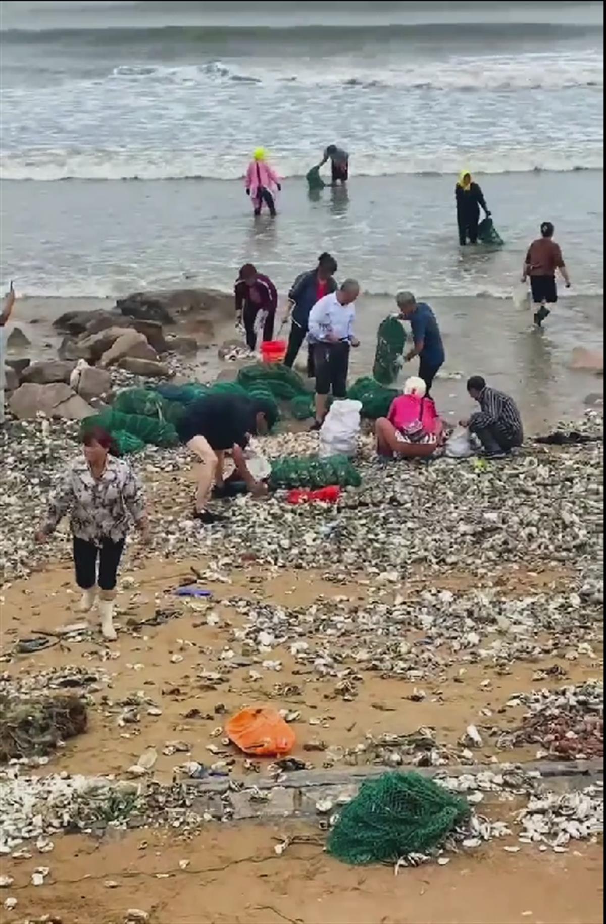 青岛黄岛海军驻地，历史沿革与现今地位，青岛黄岛海军驻地，历史沿革与现今军事地位揭秘