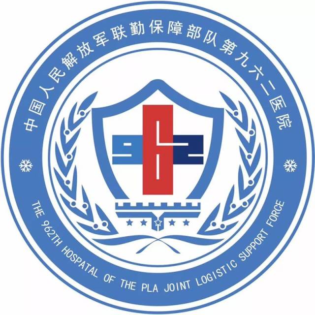 联勤保障中心臂章，军事力量的坚实后盾，联勤保障中心臂章，军事力量的坚实后盾力量之源