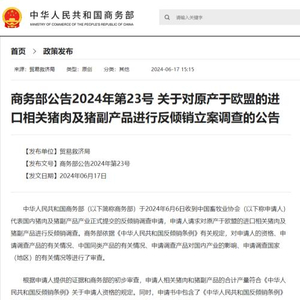 突发俄罗斯传来大消息，深度解析其影响及未来走向，俄罗斯突发消息深度解析，影响及未来走向探讨