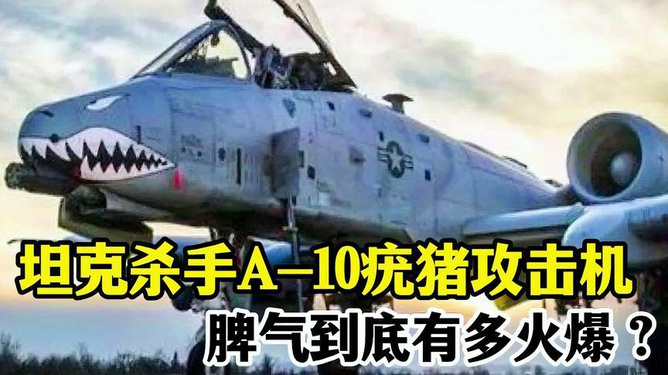 A10疣猪最新消息，探索疣猪领域的最新动态，A10疣猪最新动态探索，领域前沿消息一览