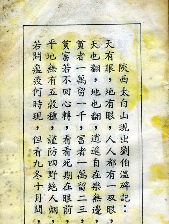 刘伯温四不像中特一肖，神秘预言与传奇色彩的交织，刘伯温神秘预言与传奇色彩的交织，四不像中特一肖揭秘