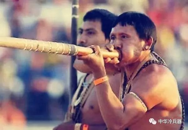 王中王之王与神秘生肖的传奇故事，王中王之王与神秘生肖的传奇之旅