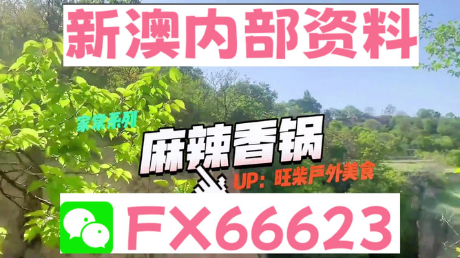新澳资料最准的网站，探索精准信息的源泉，新澳资料最准网站，精准信息探索源泉
