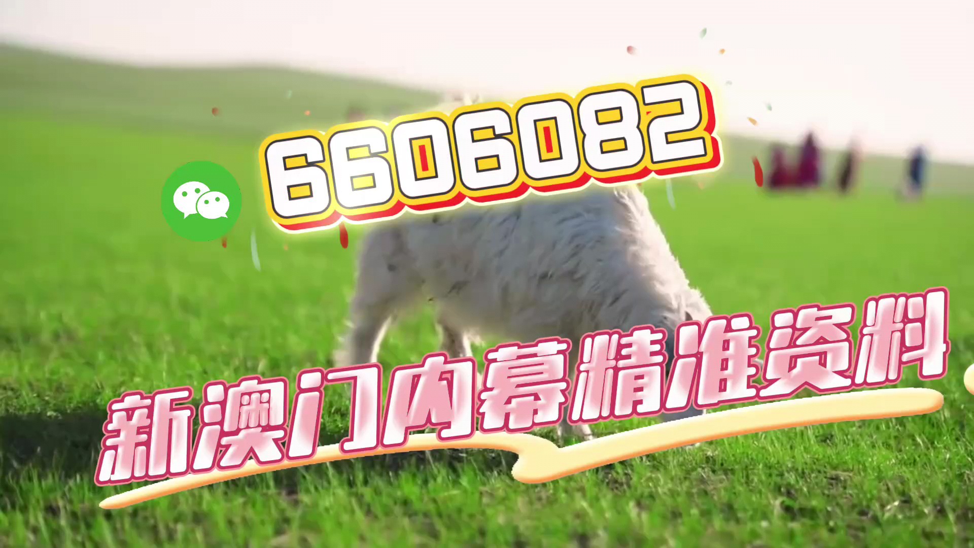 澳门三肖三码期期准免费——揭秘彩票预测真相，澳门三肖三码期期准揭秘，彩票预测真相大揭秘！