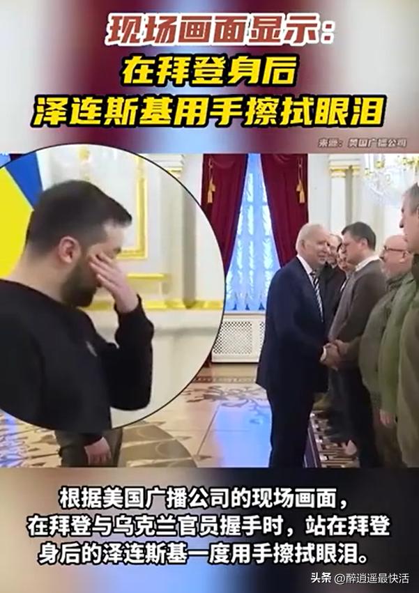 多维度深度解析