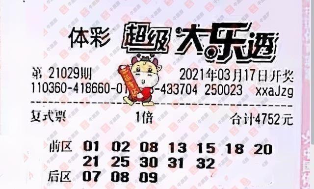 029期王中王平特一肖，深度解析与预测，王中王平特一肖深度解析与预测，揭秘未来走势