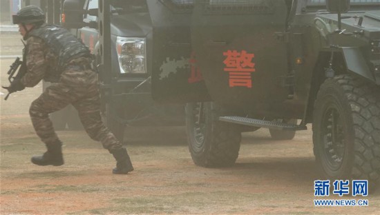 武警雪豹突击队事件，英勇与智慧的展现，武警雪豹突击队事件，英勇智慧展现的壮丽篇章