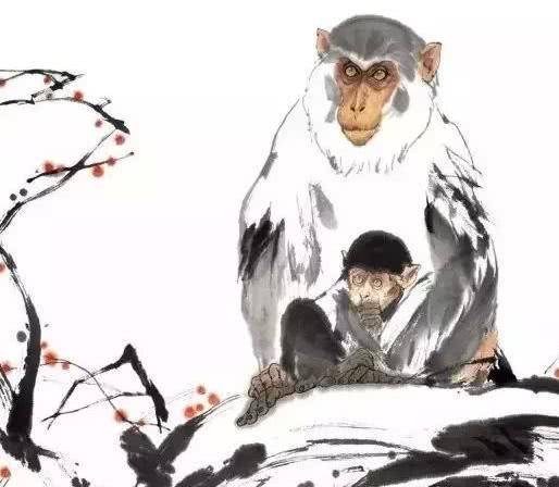 澳门刘伯温四肖选一期，预测与探索，澳门刘伯温四肖一期预测，探索神秘选号之旅