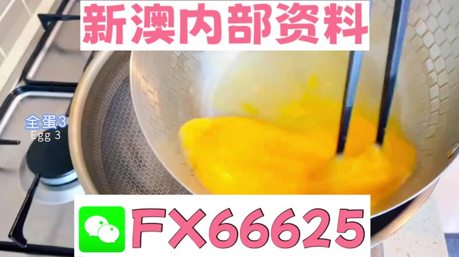 新澳一码料，纺织业的革新力量，新澳一码料，纺织业创新之驱动力