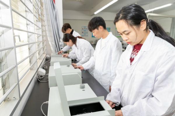 泉州建筑人才市场，人才汇聚与职业发展的繁荣之地，泉州建筑人才市场，人才汇聚与职业发展的繁荣枢纽