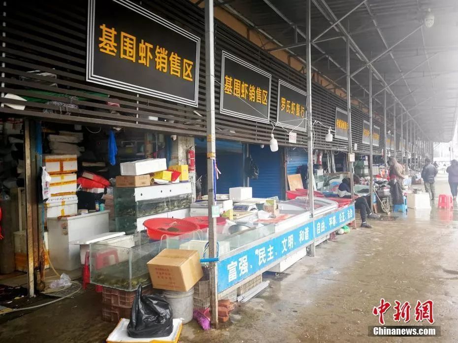 华南海鲜市场女老板生死之谜，探寻真相与反思社会关注，华南海鲜市场女老板生死之谜，探寻真相与社会关注反思