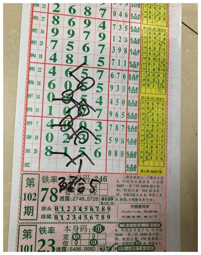 四肖八码精准资料期期准，揭秘彩票预测背后的秘密，揭秘四肖八码精准预测彩票背后的秘密与真相