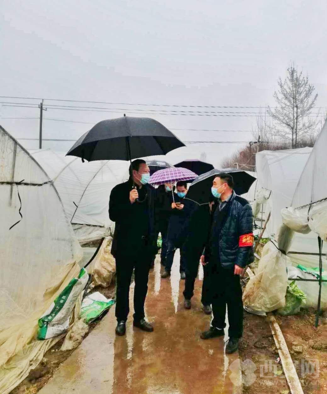 中央7台，农业与军事的交织与融合，中央7台，农业与军事的交融与展现