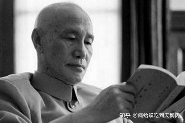 委员长是国民党最大的吗？——对国民党领导体制的深度解析，深度解析国民党领导体制，委员长地位及权力探讨