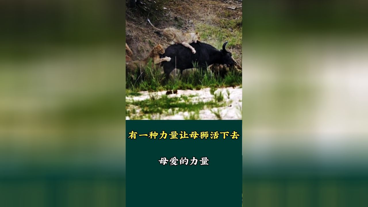 有一种力量——无形的推动力与无尽的勇气之源，无形的力量，推动力与勇气的源泉
