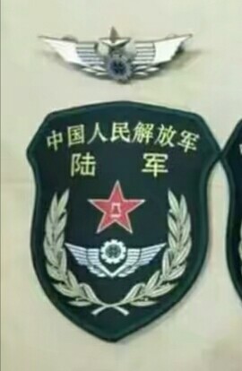 陆军臂章，荣耀的象征与时代的印记，陆军臂章，荣耀与时代的双重印记