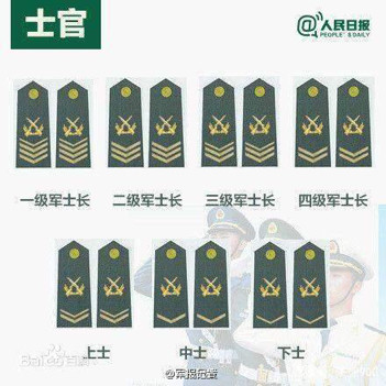 中国的军衔等级及标志，新版本解读，中国军衔等级与标志解读，最新版本概览