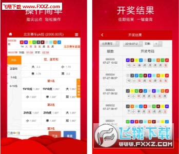 查看王中王三肖开奖一，彩票背后的故事与期待，彩票背后的故事与期待，揭秘王中王三肖开奖一