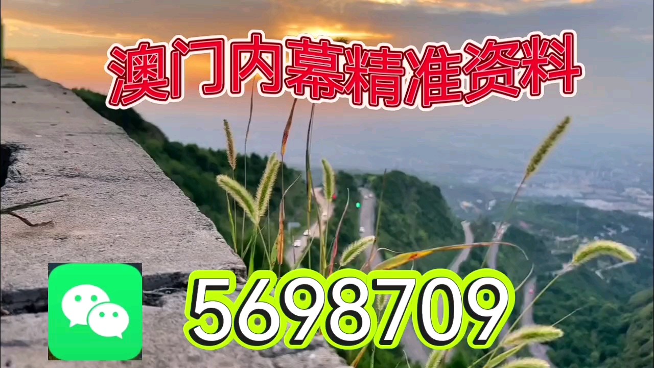 新澳门一码一肖