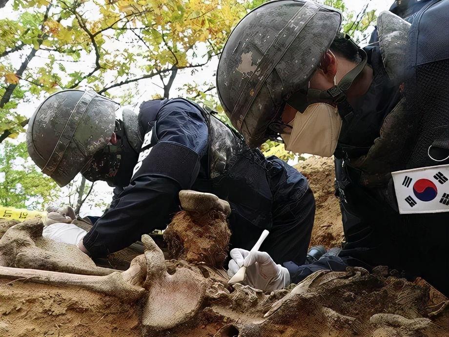 揭秘约有多少名在韩中国人民志愿军的真实数字，揭秘，在韩中国人民志愿军的真实人数统计