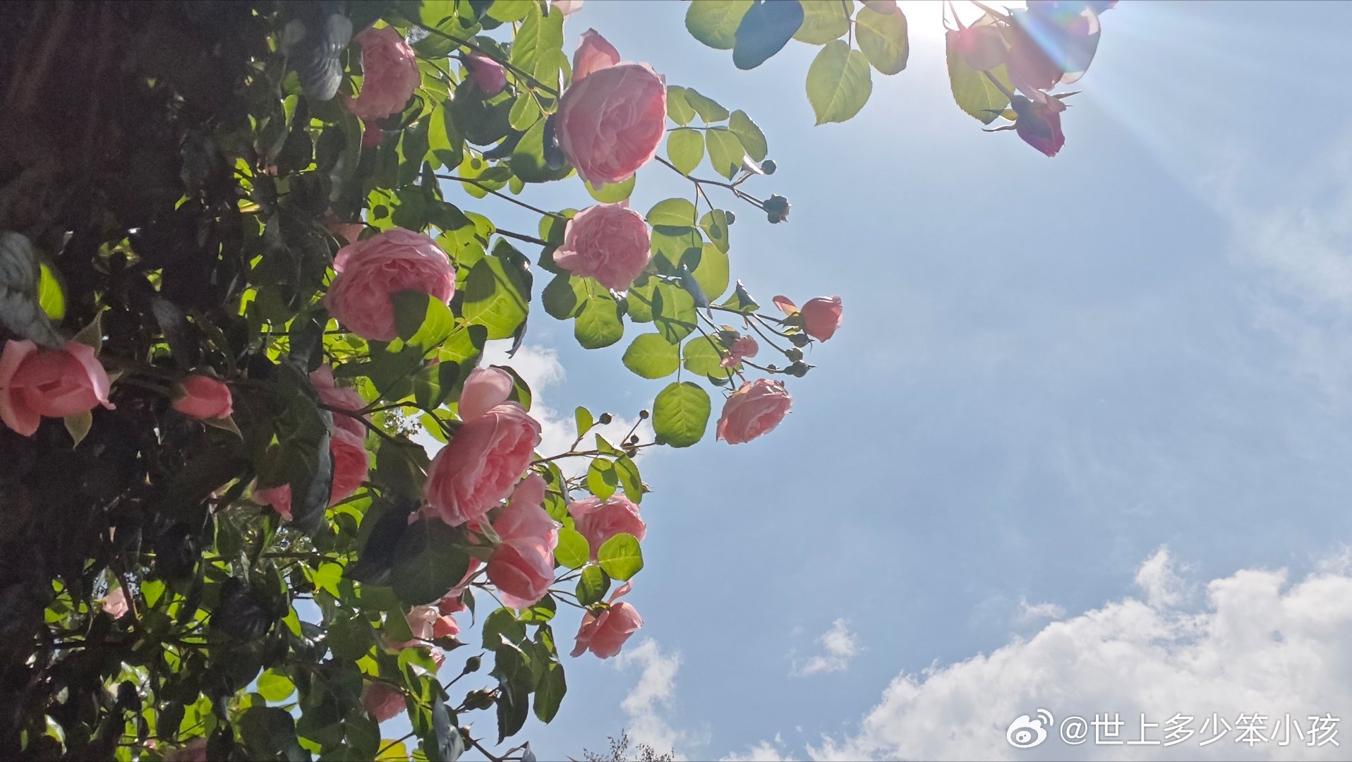 探索美不胜收的深邃意境，深邃意境中的美不胜收探索